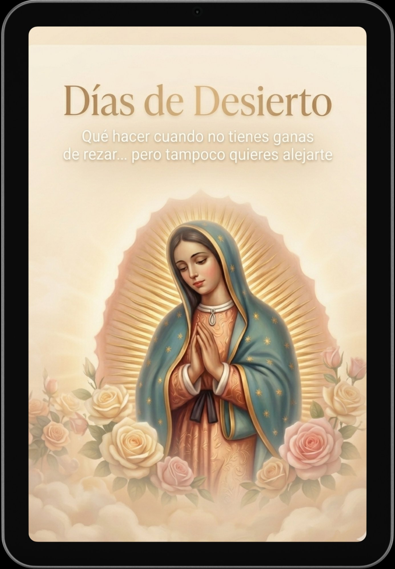 D&iacute;as de Desierto